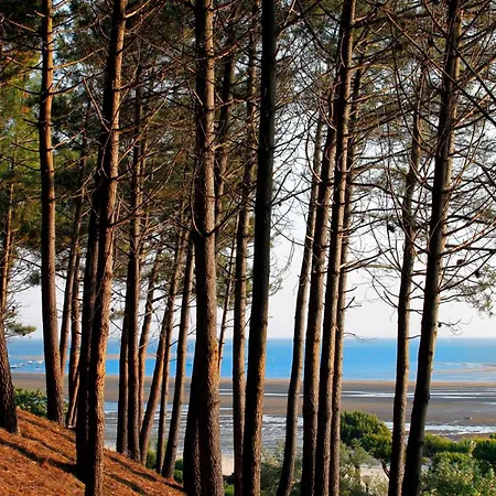 Arcachonnais Avec Terrasse Et Parking Securise - Fr-1-420-157 Appartement Arcachon